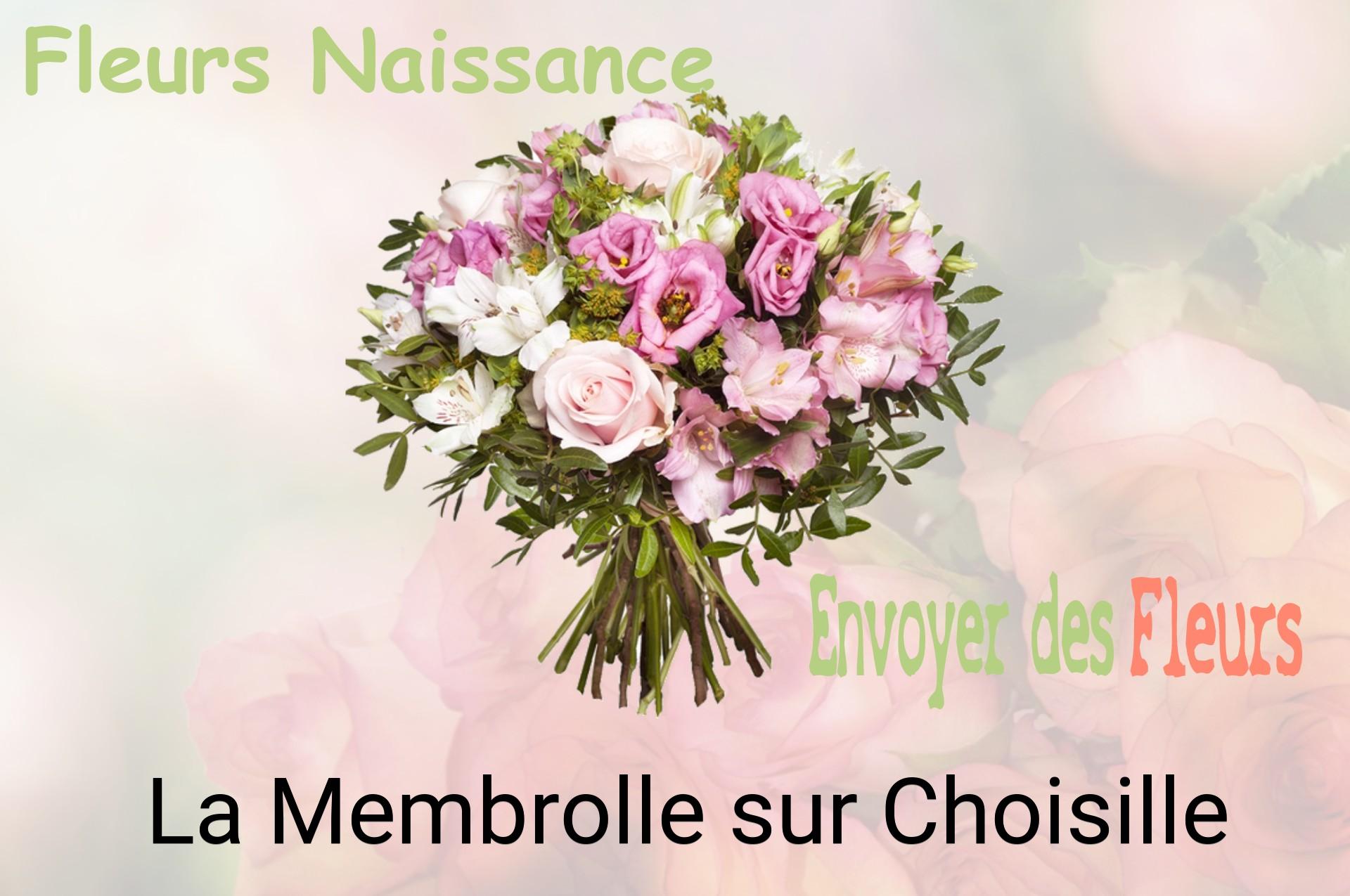 Bouquet de fleurs de naissance livré à La Membrolle-sur-Choisille